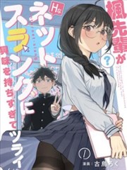 纸鸢与刀漫画封面